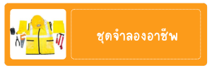 ชุดจำลองอาชีพ